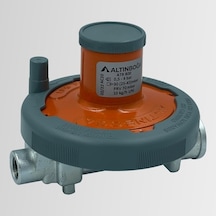 Altınboğa Atr-800 10 Kg/H Regülatör