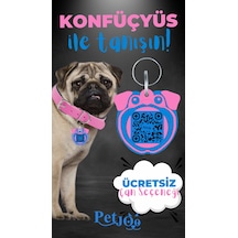 Petjoo 9.Konfüçyüs Mavi-Pembe Qr'lı Köpek Künyesi