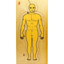 Katlı İnsan Vücudu Ahşap Puzzle