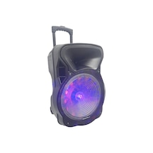 Electromaster Es-3030 150w Ses Sistemi