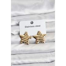 Mey İthalat 316l Çelik Gold Renk Yıldız Model Kadın Küpe - Özel Seri Meyeb69403eca9e1495731b00f30e Altın