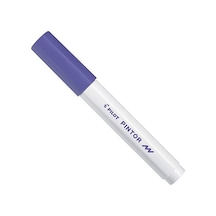 Pilot Pintor F, Mor