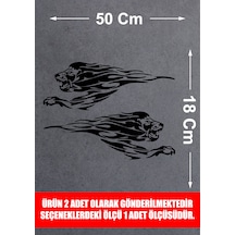 50X18 Cm