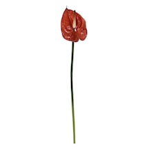 Yapay Antoryum Çiçeği Canlı Dokunuş Kahverengi 40 Cm-9976
