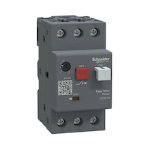 Gz1e10 4-6,3a Motor Koruma Rölesi Schneider