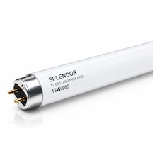 Splendor Tl-d90 Graphica 18w/965 Floresan 120 Cm