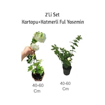 Kartopu+ Katmerli Ful Yasemin Çiçeği2'li Set Dış Mekan Bitkisi