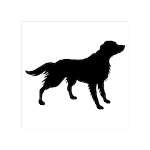 Köpek Folyo Sticker Derstv870 70cm Uzunluk Siyah