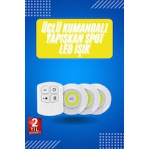 Çok Renkli
