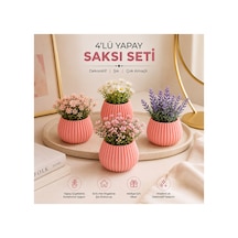 Dekoratif Pembe Dörlü Saksı Seti Pembe