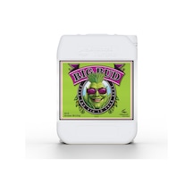 Advanced Nutrients Big Bud 10 Litre 10 L