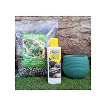 3'lü Set Kaktüs Besini 225 Ml+ 3 Lt Toprağı+ 0 55 Petrol Yeşil Saksısı Sıvı Gübresi Diğer