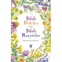 Şifalı Bitkiler ve Şifalı Reçeteler - Muhammet Kahveci - Dorlion Yayınevi