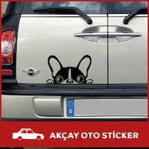 Arkadan Bakan Göz Sticker Bakan Köpek Sticker Oto Sticker