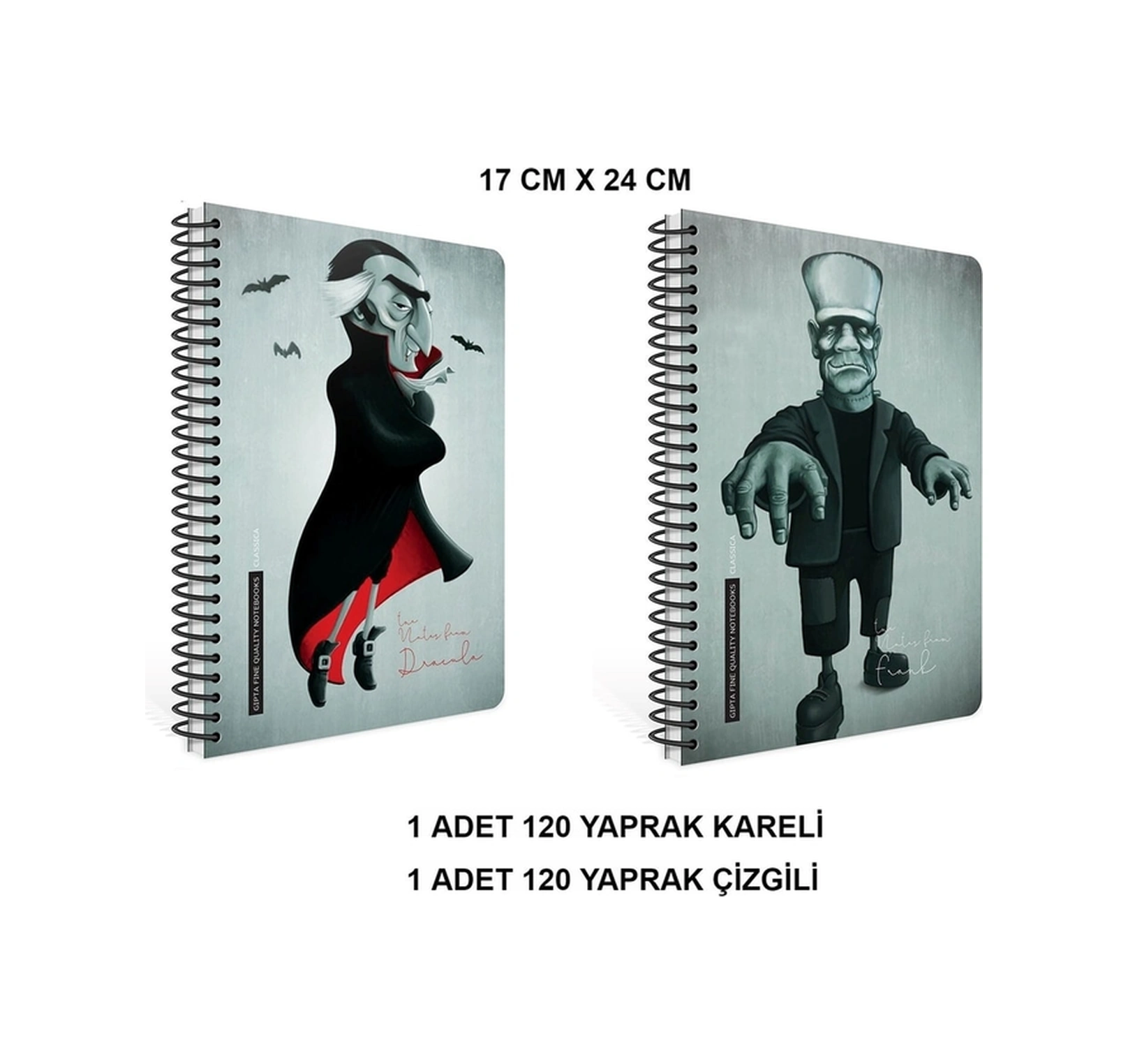 Classica Spiralli Sert Kapak 17x24 120 Yaprak 2 Adet Defter Çok Renkli