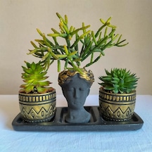 Sedum & Rhipsalis 3'lü Sukulent Seti | Helen Siyah & Gold Seri