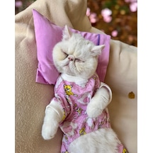 Toad Teddy Penye Kedi Tulum Ve Yastık Takım Uyku Seti