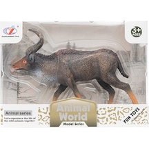 Animal World Antilop Hayvan