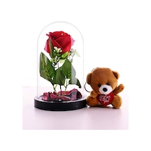 Sevgiliye Eşe Hediye Fanusta Led Işıklı Kırmızı Gül ve Mini Ayıcık Set Sevgiliye Hediye STR75