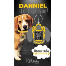 Petjoo 21.Danniel Gri-Sarı Qr'lı Köpek Künyesi