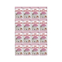 Kitten Gravy Kedi Mamasi 85 Gr 12 Adet