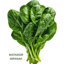 10 Gr.