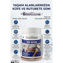 Bauglanz Profesyonel Anti-mold Küf Ve Rutubet Önleyici Boya 1.5 KG