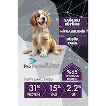 Pro Performance Kuzulu Ve Yaban Mersinli Küçük Irk Yavru Köpek Maması 12 Kg