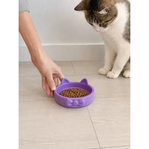 Hubrendy Sh Papyon Model Beton Kedi Köpek Mama Ve Su Kabı 16 Cm Çap - Mor
