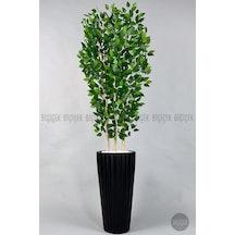 Yapay Benjamin Ağacı 6 Dallı Yoğun Yapraklı 220 Cm Siyah Lilyum Saksıda