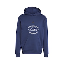 Adidas Bl Fl Hd Gd Q3 Erkek Sweatshirt-lacivert Lacivert