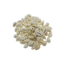 Mutluadim 100Gr Annulus Deniz Kabuğu Delikli