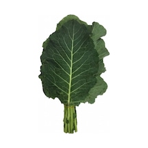 Karadeniz Kara Lahanası Tohumu 10 GRam N112238