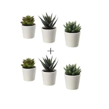 Ikea Fejka 2 Li Kaktüs Çiçek