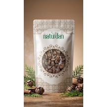 Selvi Kozalağı Tohumu 5000g