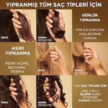 Pro-v Miracles Yenilenme Kiti Molecular Repair 5000 Pro-v Besleyici İnci İle