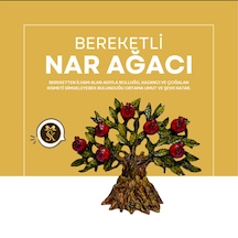 Dekoratif Nar Ağacı 0