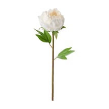 Ikea Smycka Yapay Şakayık Dalı 30 Cm Beyaz Marul Yeşili Beyaz - yeşil