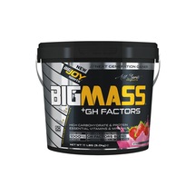 Bigjoy Big Mass Gh Factors 5000 gr Çilek Aromalı