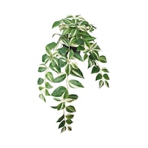 Ikea Fejka Saksılı Yapay Tradescantia 60 Cm Yeşil