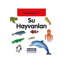 Su Hayvanları / İlk Kelimelerim-7