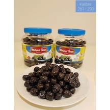 Gemlik Sofralık Siyah Zeytin M 10kg