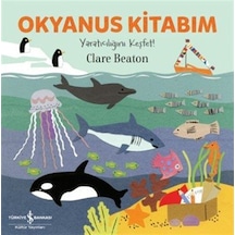 Okyanus Kitabım / Yaratıcılığını Keşfet / Clare Beaton