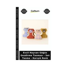 Özel Üretim Yürüyüş Kayışı Sevgi Dolu Evcil Hayvan Göğüs Gezdirme Tasması - Set Tasma - Karışık Renk