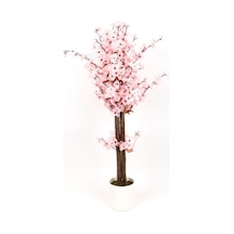Tozpembe