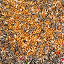 Tnt Shop T-bird Papağan Yemi 1 Kg