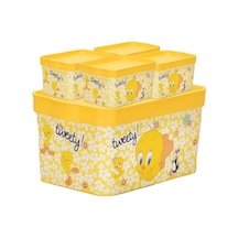 Tweety 5 li Oyuncak ve Hobi Kutu Seti