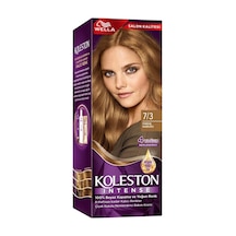 Koleston Intense 7/3 Fındık Kabuğu - 5 Adet Tarı