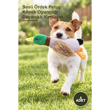4 Adet Sesli Ördek Peluş Köpek Oyuncağı Dayanıklı Yumuşak