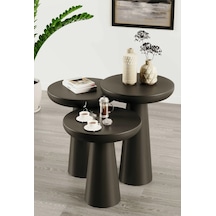 Simillo Wood Ahşap Siyah Renk Konik Model 3 Lü Set Mantar Yan Sehpa Fiskos Çiçeklik Decorative Siyah